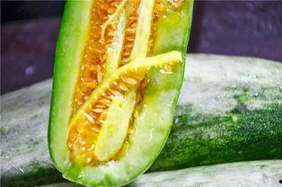 哪些吃瓜的网红,那些吃瓜群众的幕后故事